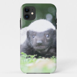 Capa Para iPhone 11 Bebê docinho