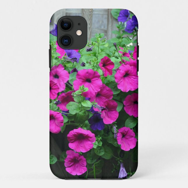 Capa Para iPhone 11 Bela petúnia rosa (Verso)