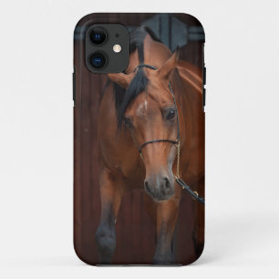 Capa Para iPhone 11 beleza de cavalo árabe. baía