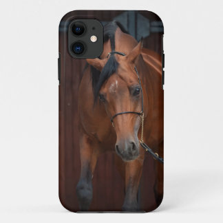 Capa Para iPhone 11 beleza de cavalo árabe. baía