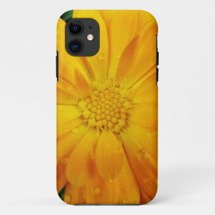 Capa Para iPhone 11 belíssima flor de margarida amarela fresca