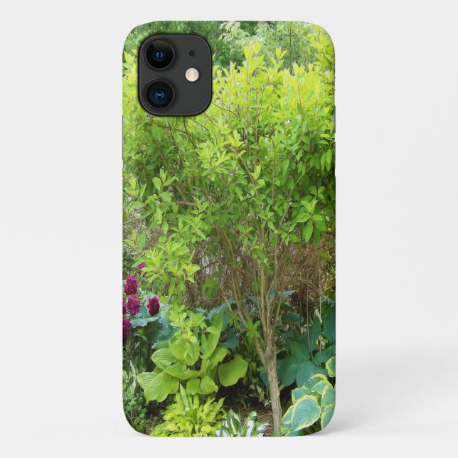 Capa Para iPhone 11 Belo Jardim Paisagem Verde com Hostas (Verso)