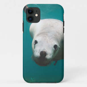 Capa Para iPhone 11 Belo Leão do Mar