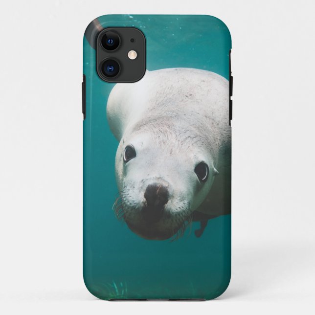 Capa Para iPhone 11 Belo Leão do Mar (Verso)
