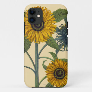 Capa Para iPhone 11 Besler: Girassol