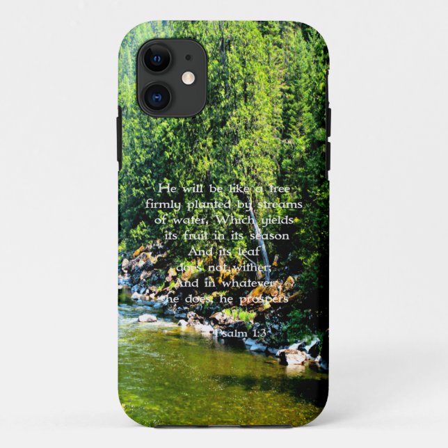 Capa Para iPhone 11 Bíblia das Escrituras Cristãs da Floresta do Rio V (Verso)