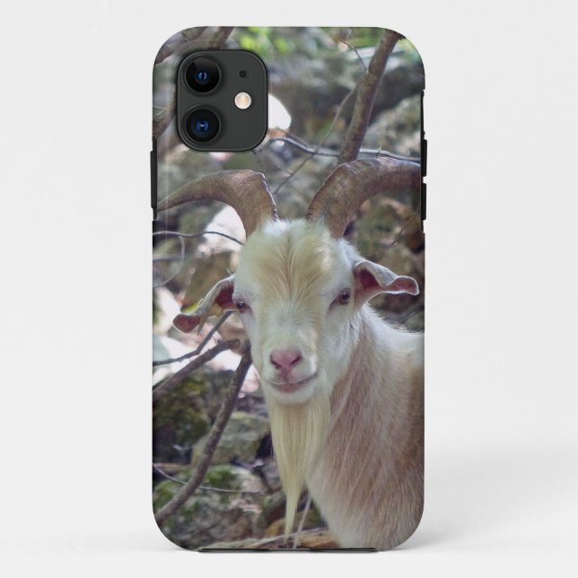 Capa Para iPhone 11 Billy Goat (Verso)
