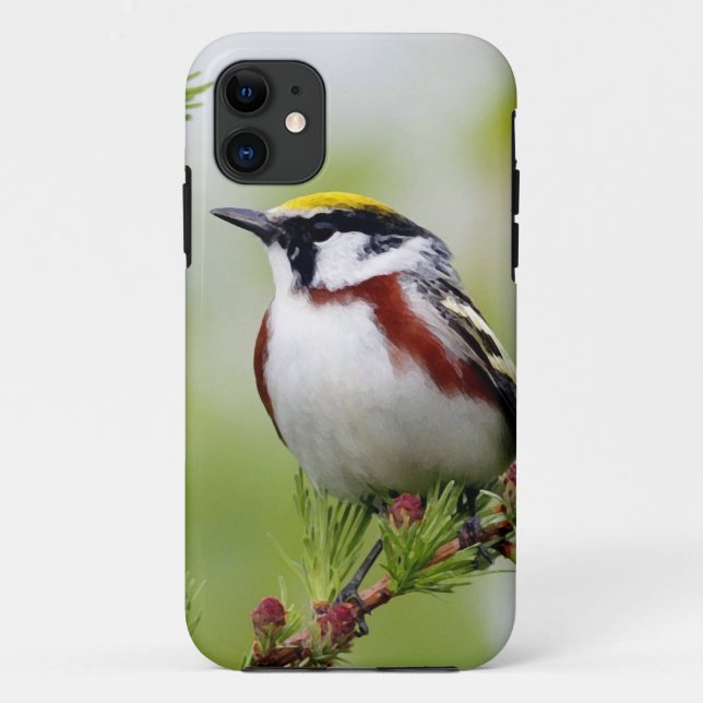 Capa Para iPhone 11 Bird grey_iphone (Verso)