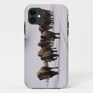 Capa Para iPhone 11 Bisonte no inverno