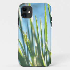 Capa Para iPhone 11 Blades Sunlit