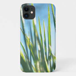 Capa Para iPhone 11 Blades Sunlit
