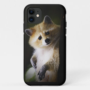 Capa Para iPhone 11 Blona-branca-guaxinim