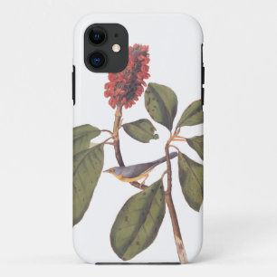 Capa Para iPhone 11 Bonaparte Flycatcher Canada Warbler Audubon Bird