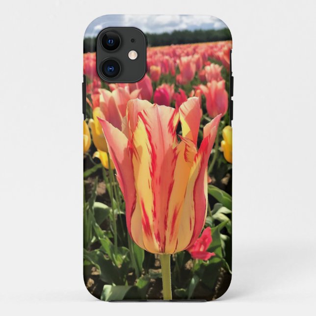 Capa Para iPhone 11 Bonito Primavera Tulip, Oregon (Verso)