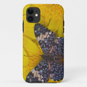 Capa Para iPhone 11 Borboleta em uma Flor Amarela