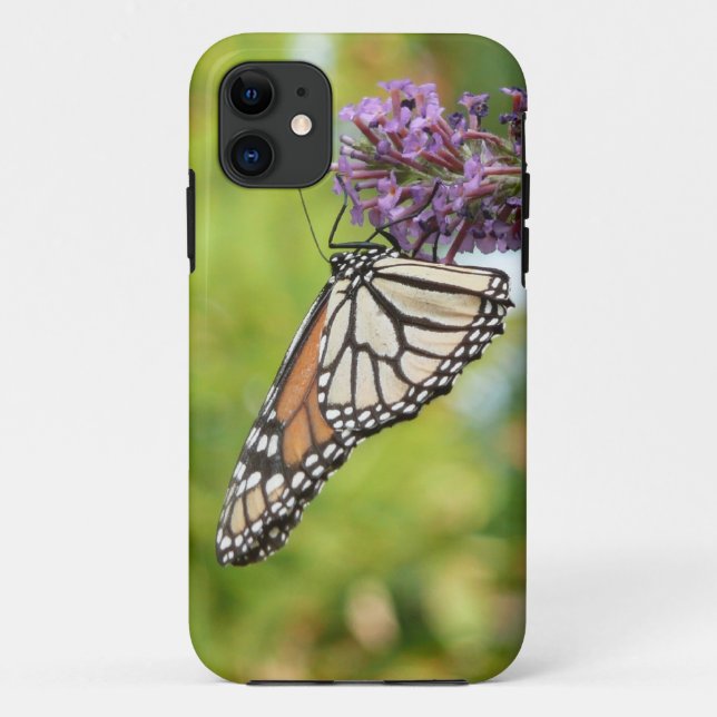 Capa Para iPhone 11 Borboleta Monarca em Arbusto de Borboleta Roxa (Verso)