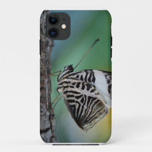 Capa Para iPhone 11 Borboleta Tigre Preto e Branco