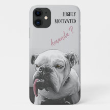 Buldogue altamente motivado com língua rosa