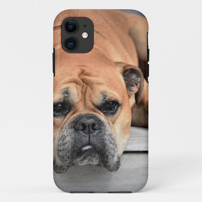 Capa Para iPhone 11 Bull Dog (Verso)