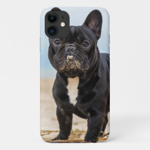Capa Para iPhone 11 Bulldog Francês Brincando na Areia