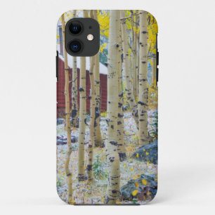 Capa Para iPhone 11 Cabana isolada na Grand Mesa numa floresta