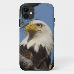 Capa Para iPhone 11 Cabeça de Fechamento da Águia Cálida Madura