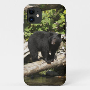 Capa Para iPhone 11 Caça ao Urso Negro Selvagem Foto