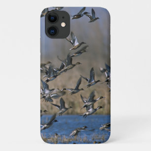 Capa Para iPhone 11 Caça aos Patos - Patos Pecudos Voando