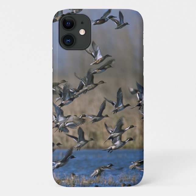Capa Para iPhone 11 Caça aos Patos - Patos Pecudos Voando (Verso)