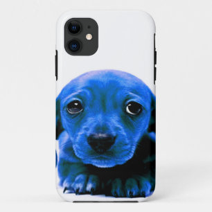 Capa Para iPhone 11 Cachorro Azul Cachorro Personaliza TI