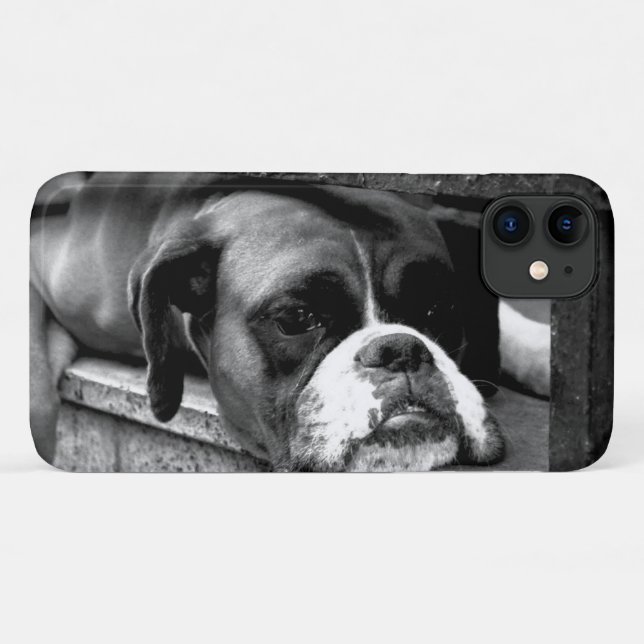 Capa Para iPhone 11 Cachorro-Boxer no iphcnm do Windows (Verso (horizontal))