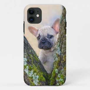 Capa Para iPhone 11 Cachorro francês bonito colocando em um galho