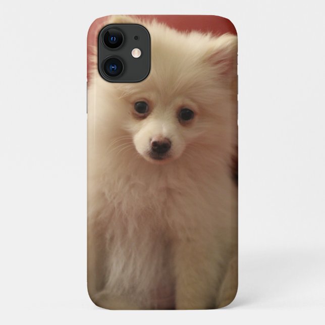 Capa Para iPhone 11 Cachorro Pomerano (Verso)