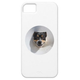 Capa Para iPhone 11 Cachorro sorridente engraçado