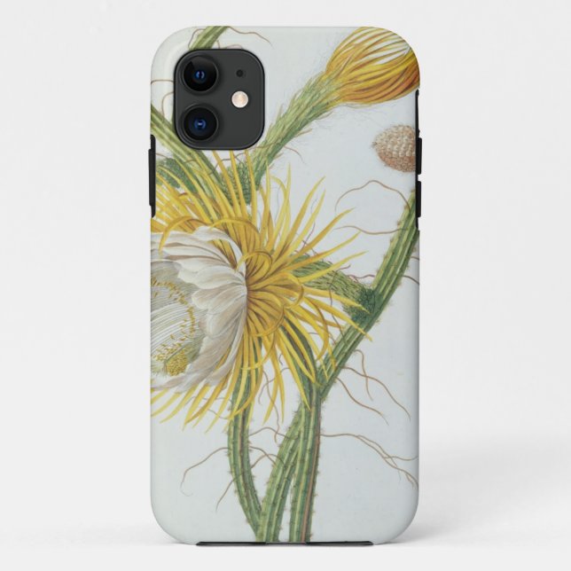 Capa Para iPhone 11 Cacto: Círio, Plantae Selectae" 175 de Trew do " (Verso)