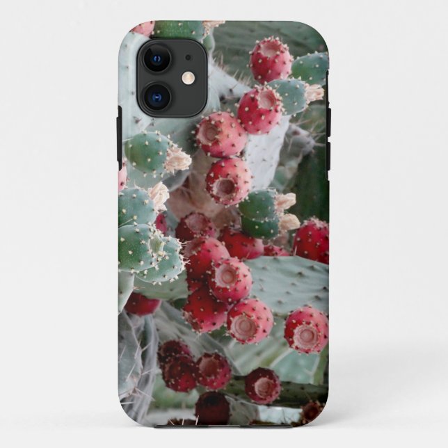 Capa Para iPhone 11 Cactus photoiPhone SE + iPhone 5/5S (Verso)