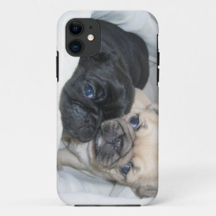 Capa Para iPhone 11 Caixa de dois pugs