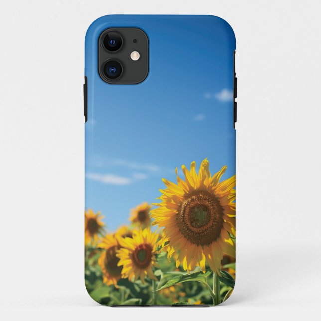 Capa Para iPhone 11 Campo de girassol (Verso)