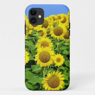 Capa Para iPhone 11 Campos do girassol