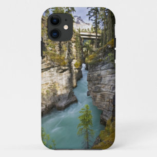 Capa Para iPhone 11 Canadá, Alberta, Parque Nacional Jasper, Athabasca