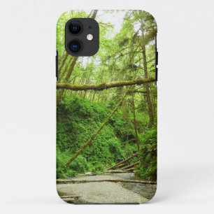Capa Para iPhone 11 Canyon Fern I no Parque Nacional Redwood