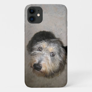 Capa Para iPhone 11 Cão bonito