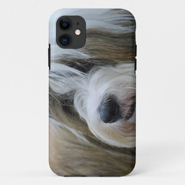 Capa Para iPhone 11 Cão bonito de Terrier tibetano (Verso)