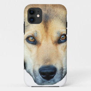 Capa Para iPhone 11 Cão bonito em qualquer fundo colorido