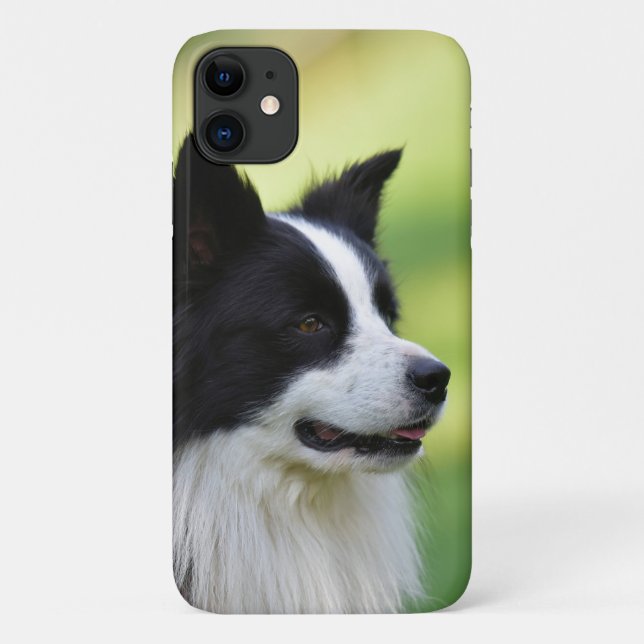 Capa Para iPhone 11 Cão Border Collie Preto e Branco (Verso)