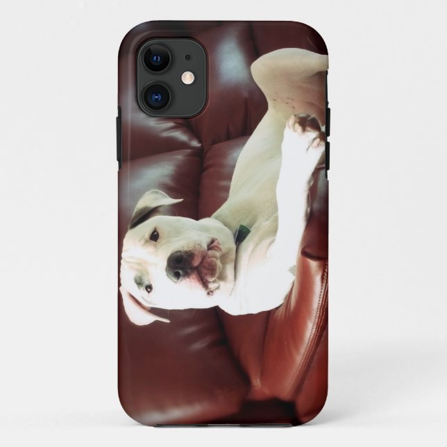Capa Para iPhone 11 cão branco de bolacha engraçado no sofá (Verso)