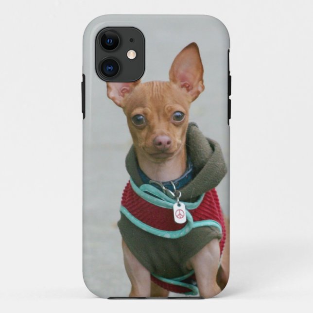 Capa Para iPhone 11 Cão da chihuahua (Verso)