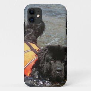 Capa Para iPhone 11 Cão de Terra Nova