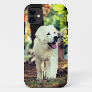 Capa Para iPhone 11 Cão, Pet, Canino