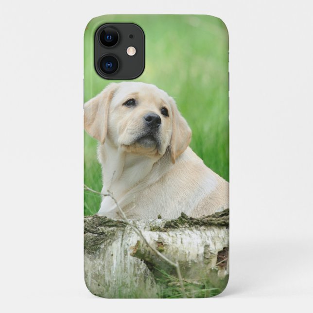 Capa Para iPhone 11 Cãozinho Labrador (Verso)